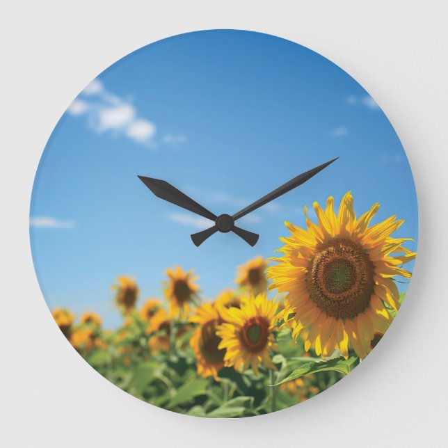 Sunflower field  large clock (Front)