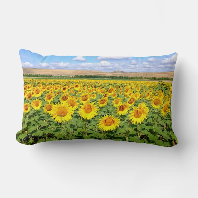 Sunflower field lumbar cushion (Front)