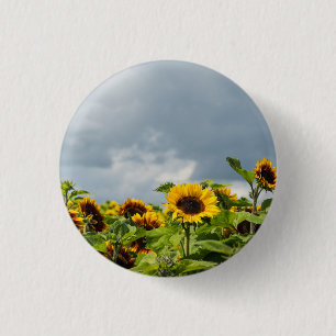 Sunflower Field Magnet 3 Cm Round Badge