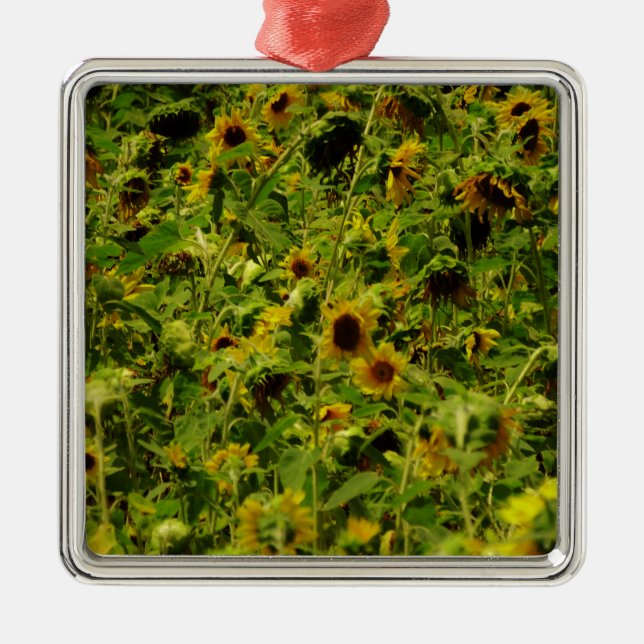 Sunflower field metal tree decoration (Front)