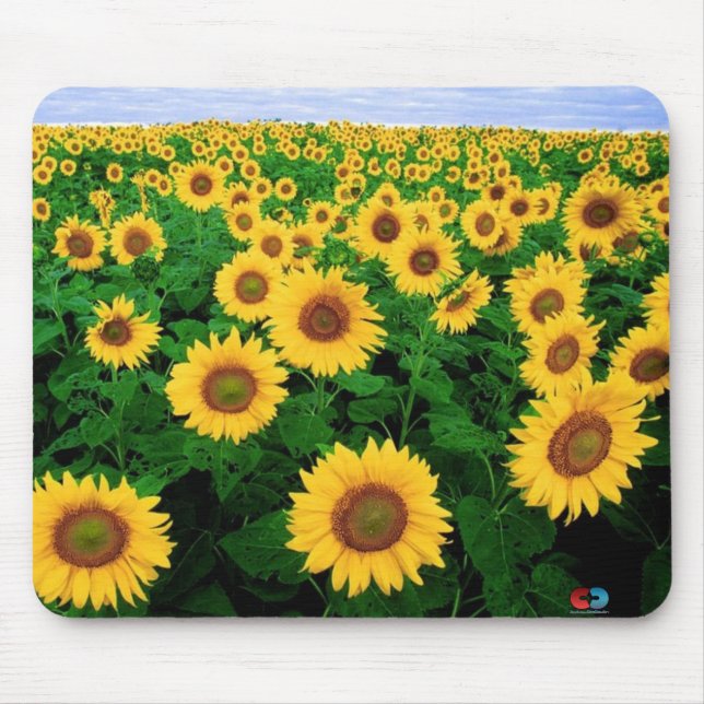 Sunflower Field Mouse Pad (Front)