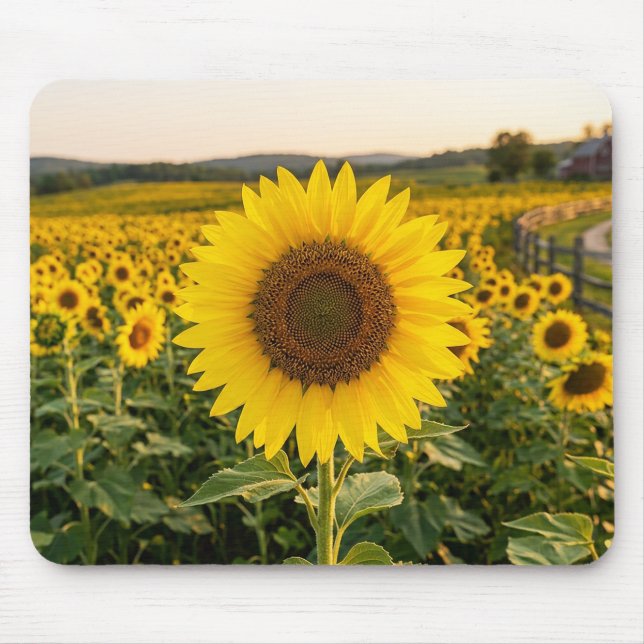 Sunflower Field Mouse Pad (Front)