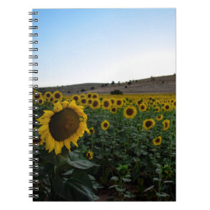 Sunflower field notebook