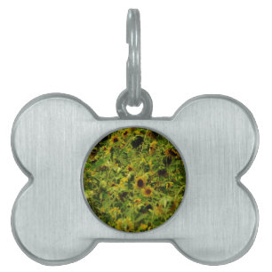 Sunflower field pet name tag
