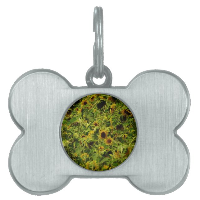 Sunflower field pet name tag (Front)