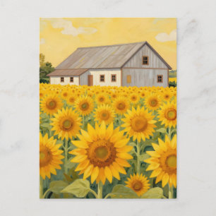 Sunflower Field Rustic Barn Landscape Postcard