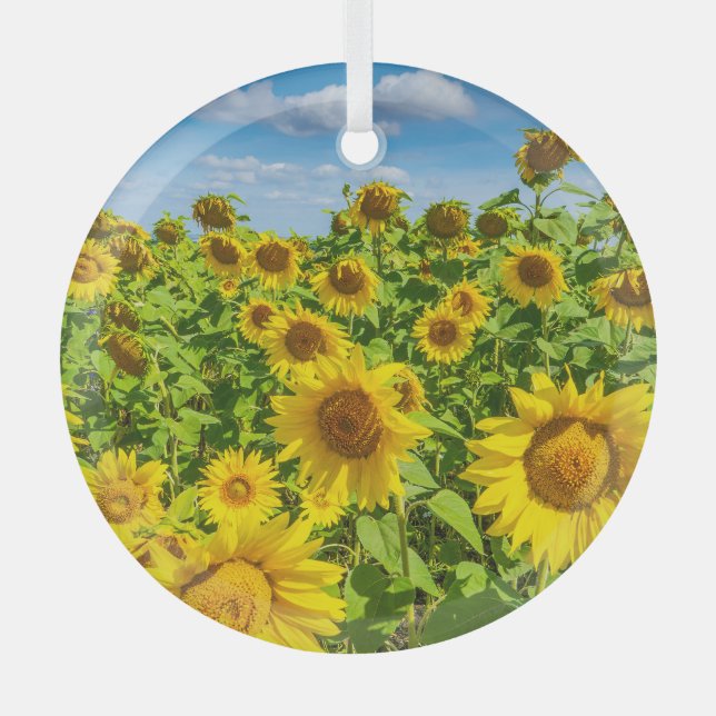 Sunflower field, summer sunny day. glass tree decoration (Front)