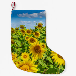 Sunflower field, summer sunny day. small christmas stocking