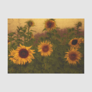 Sunflower Field Texture Yellow Green Vintage Art Tissue Paper