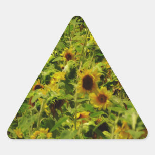 Sunflower field triangle sticker