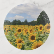 Sunflower Field Trinket Tray