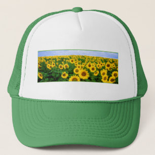 Sunflower Field Trucker Hat