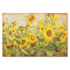 Sunflower Field Vintage Antique Yellow Decoupage