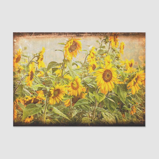 Sunflower Field Vintage Antique Yellow Decoupage Tissue Paper (Front)