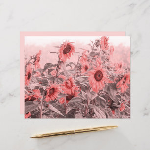 Sunflower Field Vintage Blush Pink Grey Decoupage