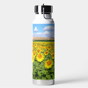 Sunflower field water bottle