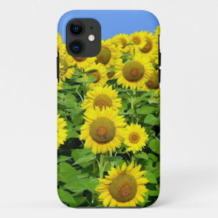 Sunflower Fields Case-Mate iPhone Case
