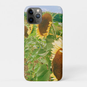 Sunflower Fields Case-Mate iPhone Case