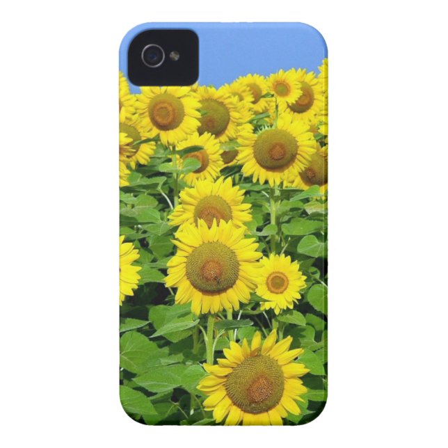 Sunflower Fields Case-Mate iPhone Case (Back)