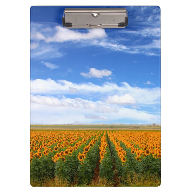 Sunflower Fields Clipboard (Front)