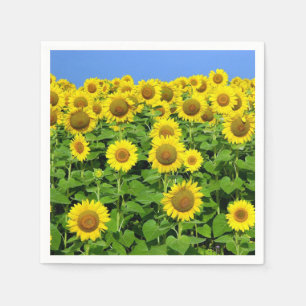 Sunflower Fields Napkin