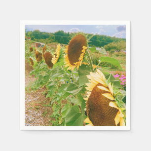 Sunflower Fields Napkin