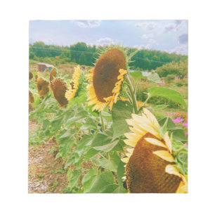Sunflower Fields Notepad