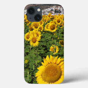 Sunflower fields, white hill town of Bornos iPhone 13 Case