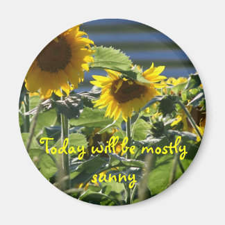 Sunflower Flair Magnet