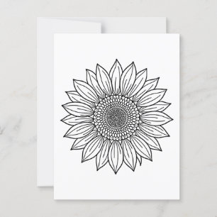 Sunflower Floral Illustration Line Art  Postcard