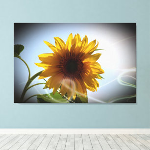 Sunflower Floral Scent Art Canvas Print
