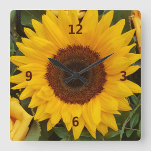 Sunflower Flower Floral Photography Clock