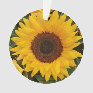 Sunflower Flower Floral Photography Ornament