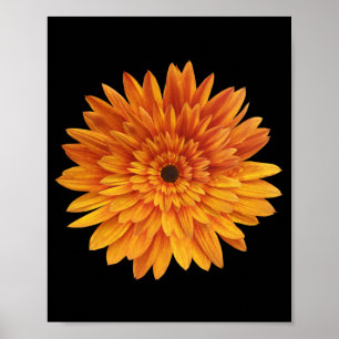 sunflower flower flowers poster