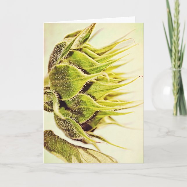 Sunflower Flower Green Profile Art Note Card (Front)