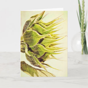 Sunflower Flower Green Profile Art Note Card