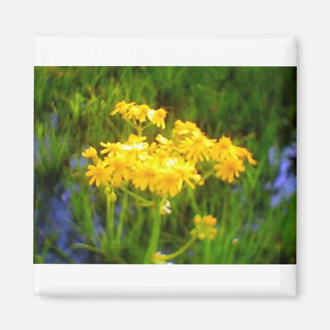 Sunflower Flower Magnet (Front)