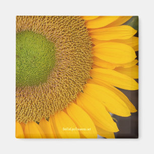 Sunflower Flower Photography Magnet