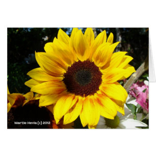 Sunflower & Friends Bouquet