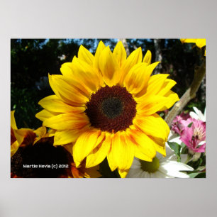 Sunflower & Friends Bouquet Poster
