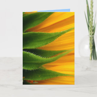 Sunflower Get Well Card