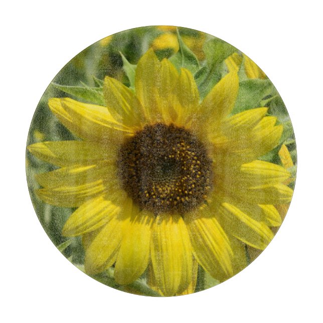 Sunflower Glass Cutting Board (Front)