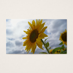 Sunflower Glory Business Card