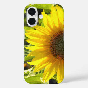 Sunflower Glow iPhone Case