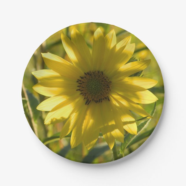 Sunflower Glow Paper Plates (Front)