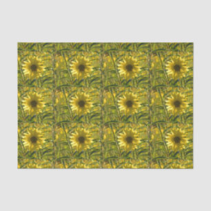 Sunflower Glow Tissue Paper