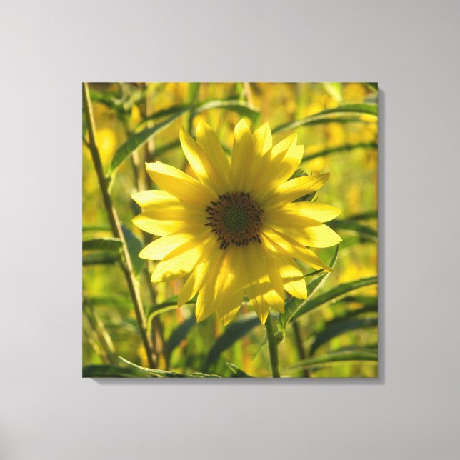 Sunflower Glow Wrapped Canvas Print 24x24 (Front)