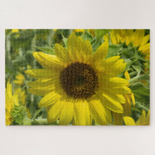 Sunflower Gold Jigsaw Puzzle