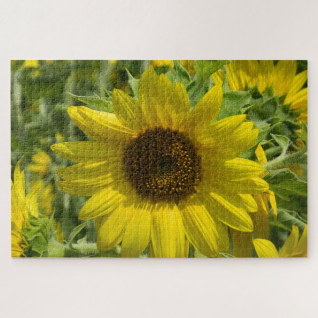 Sunflower Gold Jigsaw Puzzle (Horizontal)