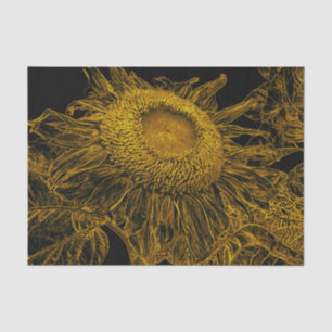 Sunflower Golden Yellow Black Vintage Floral Art Tissue Paper